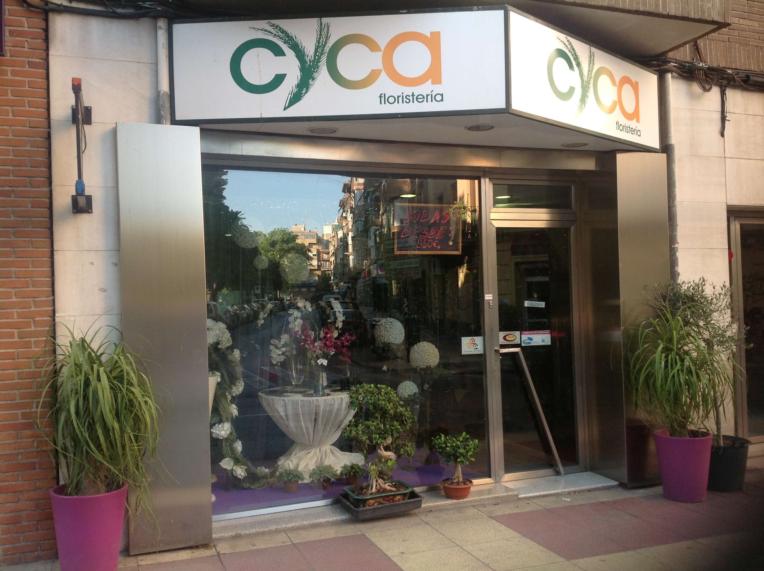 Tus flores en Murcia – Cyca floristería